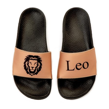 Leo zodiac slides