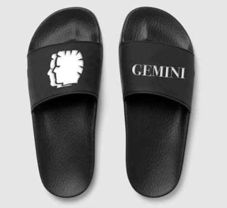 Gemini zodiac slides