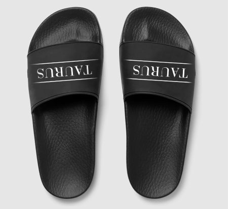 Taurus zodiac slides