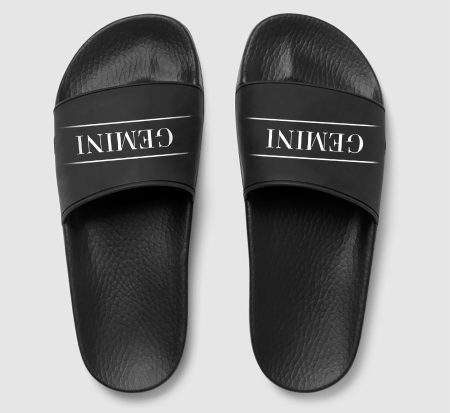 Gemini zodiac slides
