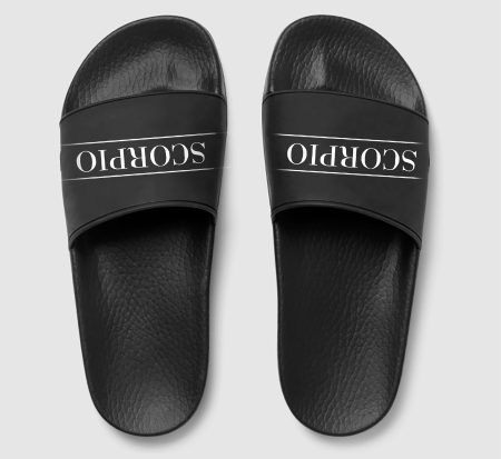 Scorpio zodiac slides