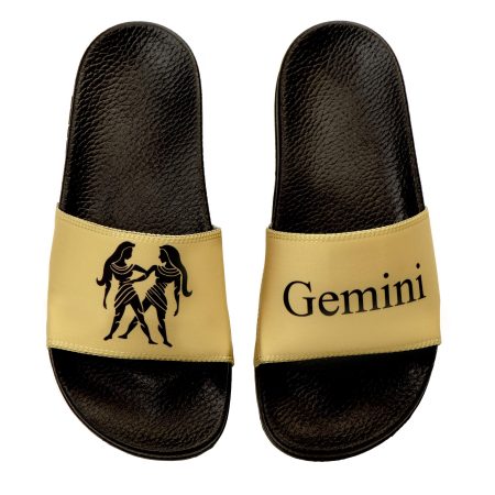 Gemini zodiac slides