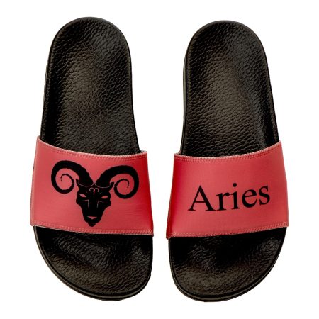 Aries slides