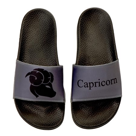 Capricorn zodiac slides
