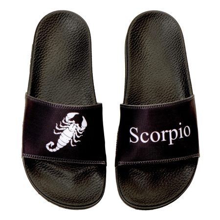 Scorpio zodiac slides