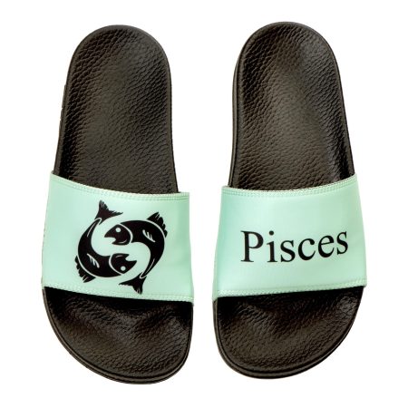 Pisces zodiac slides
