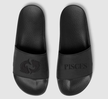 Pisces zodiac slides